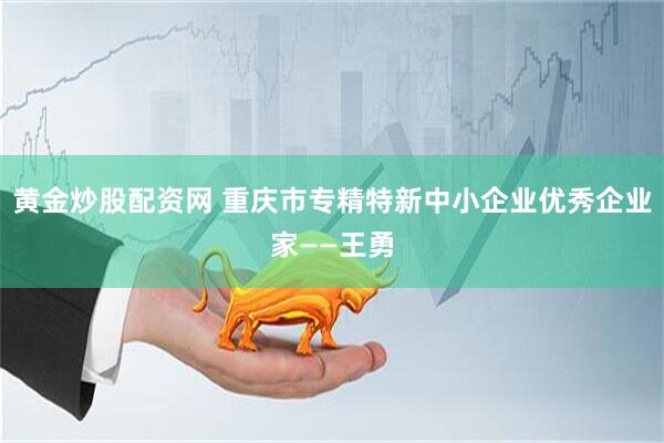 黄金炒股配资网 重庆市专精特新中小企业优秀企业家——王勇